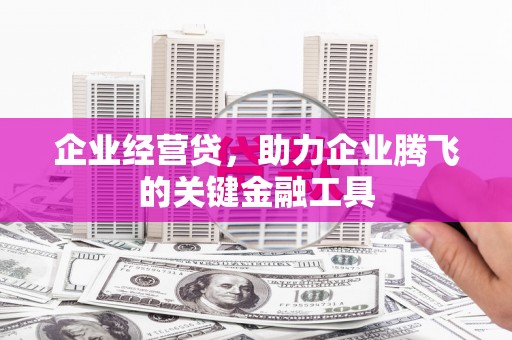大丰企业经营贷，助力企业腾飞的关键金融工具