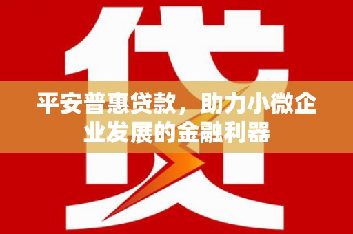 大丰平安普惠贷款，助力小微企业发展的金融利器