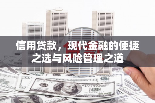 大丰信用贷款，现代金融的便捷之选与风险管理之道