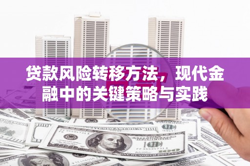 大丰贷款风险转移方法，现代金融中的关键策略与实践