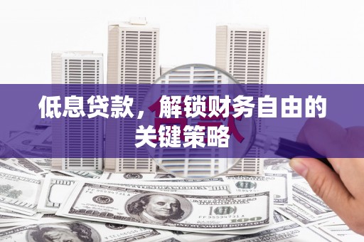 大丰低息贷款，解锁财务自由的关键策略
