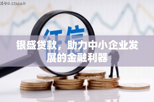大丰银盛贷款，助力中小企业发展的金融利器