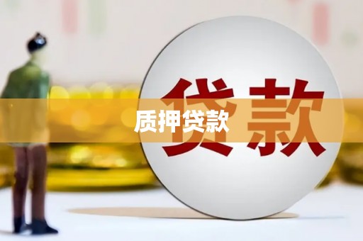 大丰质押贷款
