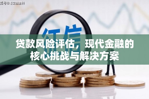 大丰贷款风险评估，现代金融的核心挑战与解决方案
