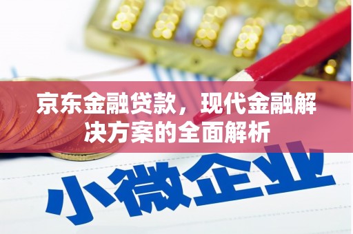 大丰京东金融贷款，现代金融解决方案的全面解析