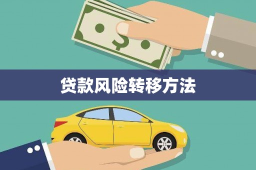 大丰贷款风险转移方法