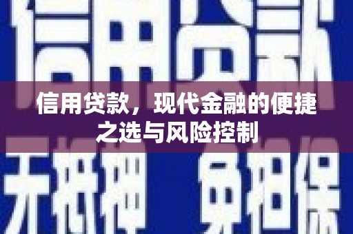 大丰信用贷款，现代金融的便捷之选与风险控制