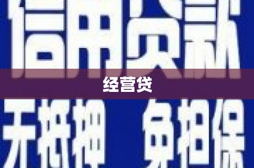 大丰经营贷