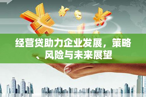 大丰经营贷助力企业发展，策略、风险与未来展望