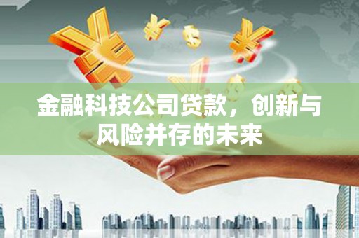 大丰金融科技公司贷款，创新与风险并存的未来