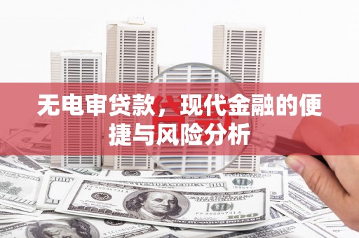 大丰无电审贷款，现代金融的便捷与风险分析