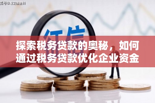 大丰探索税务贷款的奥秘，如何通过税务贷款优化企业资金流