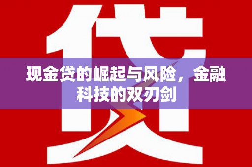 大丰现金贷的崛起与风险，金融科技的双刃剑