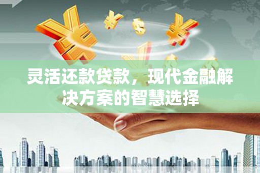 大丰灵活还款贷款，现代金融解决方案的智慧选择