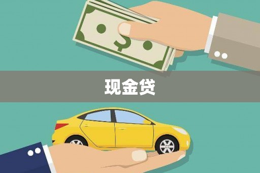 大丰现金贷
