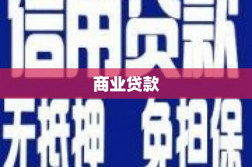 大丰商业贷款