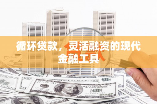 大丰循环贷款，灵活融资的现代金融工具