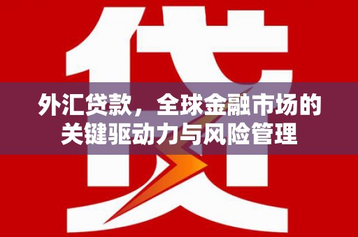 大丰外汇贷款，全球金融市场的关键驱动力与风险管理