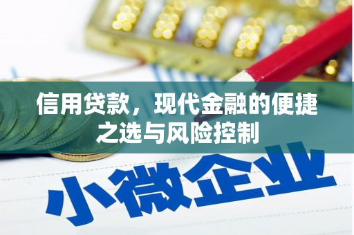 大丰信用贷款，现代金融的便捷之选与风险控制