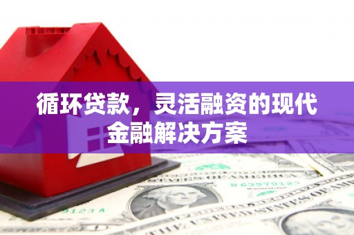 大丰循环贷款，灵活融资的现代金融解决方案