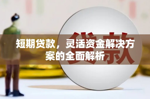 大丰短期贷款，灵活资金解决方案的全面解析