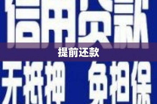 大丰提前还款