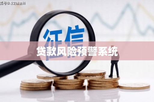大丰贷款风险预警系统