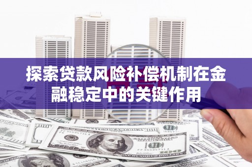 大丰探索贷款风险补偿机制在金融稳定中的关键作用