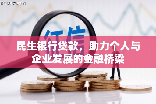 大丰民生银行贷款，助力个人与企业发展的金融桥梁