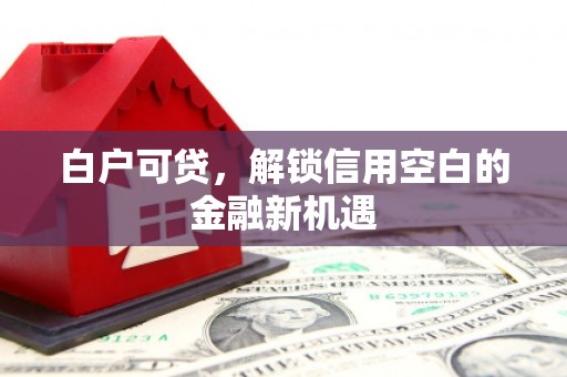大丰白户可贷，解锁信用空白的金融新机遇