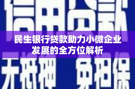 大丰民生银行贷款助力小微企业发展的全方位解析