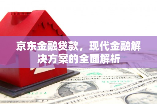 大丰京东金融贷款，现代金融解决方案的全面解析