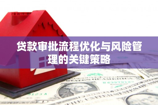 大丰贷款审批流程优化与风险管理的关键策略