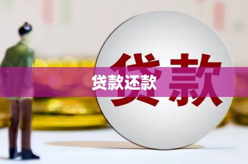 大丰贷款还款
