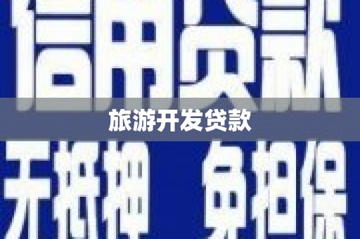 大丰旅游开发贷款