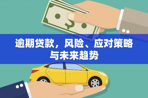 大丰逾期贷款，风险、应对策略与未来趋势