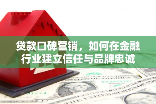 大丰贷款口碑营销，如何在金融行业建立信任与品牌忠诚