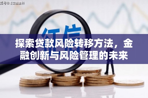 大丰探索贷款风险转移方法，金融创新与风险管理的未来