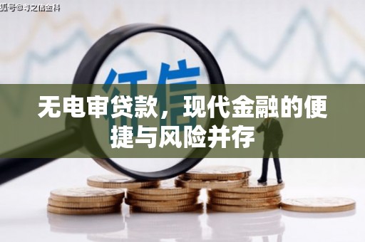 大丰无电审贷款，现代金融的便捷与风险并存