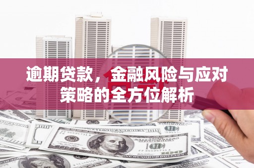 大丰逾期贷款，金融风险与应对策略的全方位解析