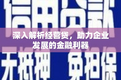 大丰深入解析经营贷，助力企业发展的金融利器