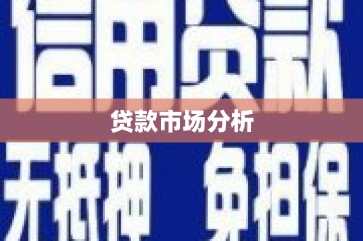 大丰贷款市场分析