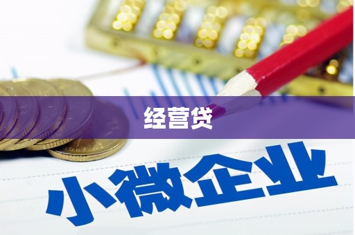 大丰经营贷