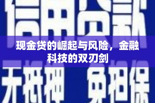 大丰现金贷的崛起与风险，金融科技的双刃剑