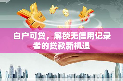 大丰白户可贷，解锁无信用记录者的贷款新机遇