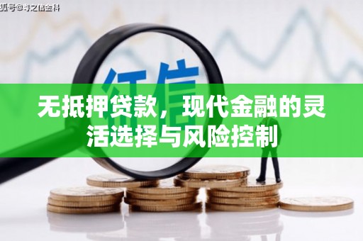 大丰无抵押贷款，现代金融的灵活选择与风险控制