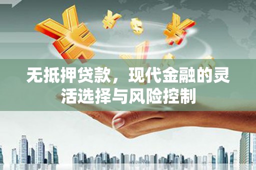 大丰无抵押贷款，现代金融的灵活选择与风险控制