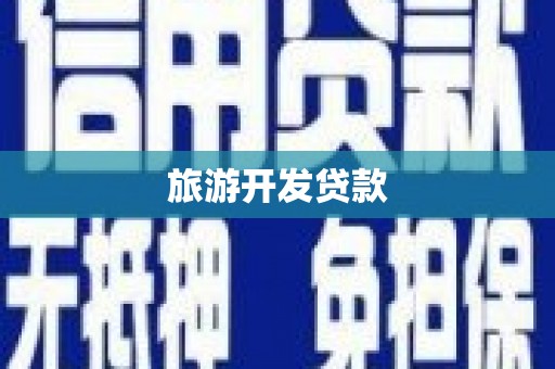 大丰旅游开发贷款