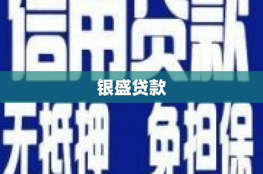 大丰银盛贷款
