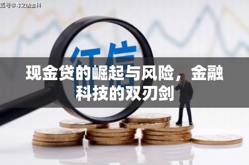 大丰现金贷的崛起与风险，金融科技的双刃剑